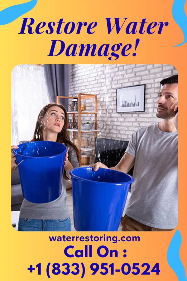 water restoration Capital Flood Cleanup Group Delanson