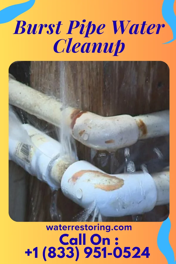 Burst Pipe Water Cleanup in Delanson, NY