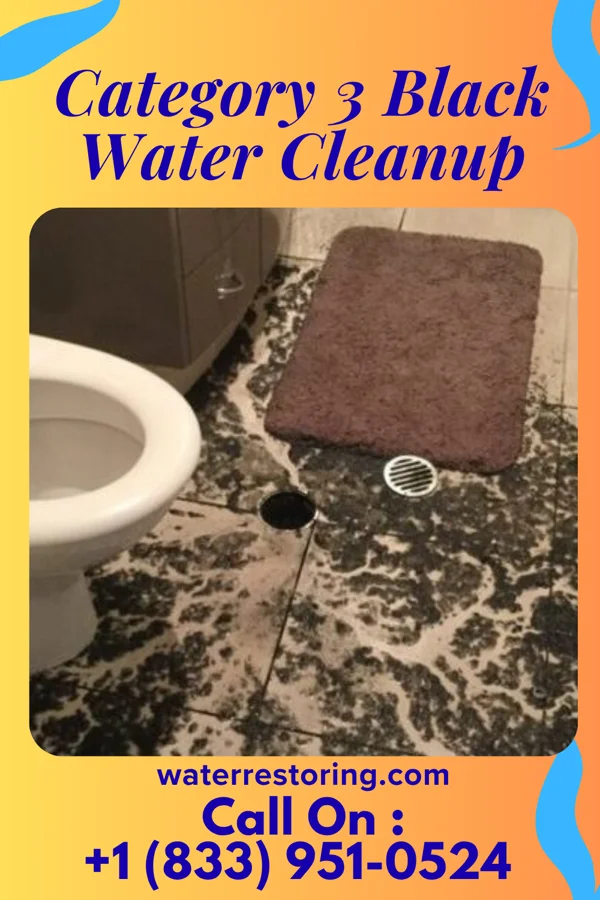 Category 3 Black Water Cleanup in Delanson, NY