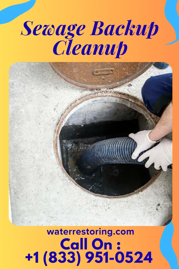Sewage Backup Cleanup in Delanson, NY